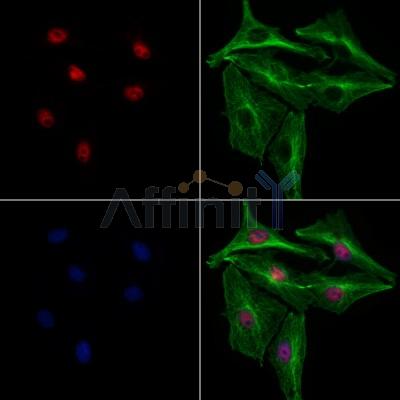 Валидация Affinity AF7628 - 4301