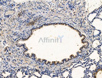 Валидация Affinity DF15419 - 11748