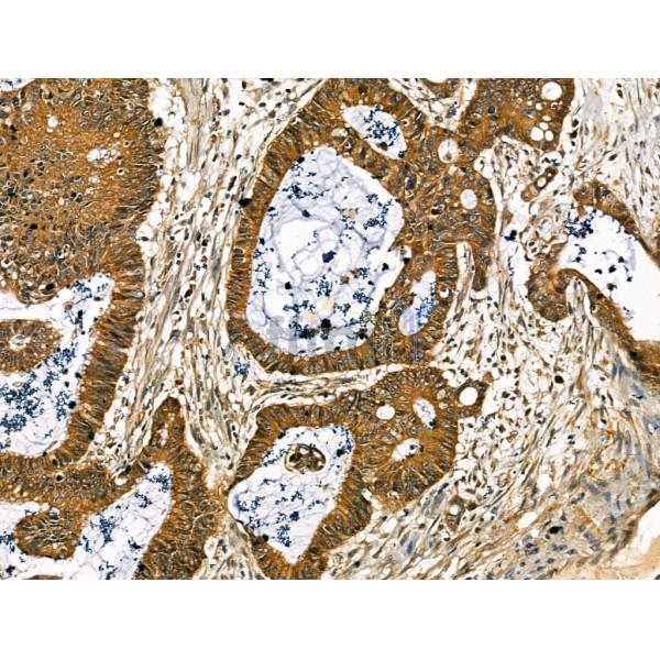 Валидация Affinity DF13214 - 8227