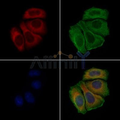 Валидация Affinity DF9128 - 21449