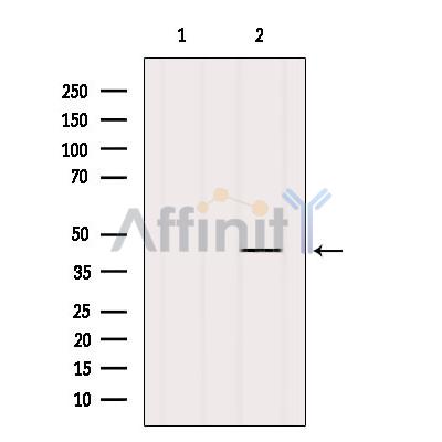 Валидация Affinity DF4107 - 15394