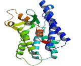 Chemokine C-C-Motif Receptor 1 (CCR1) Chemokine C-C-Motif Receptor 1 (CCR1)