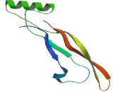 Growth Differentiation Factor 15 (GDF15) Growth Differentiation Factor 15 (GDF15)