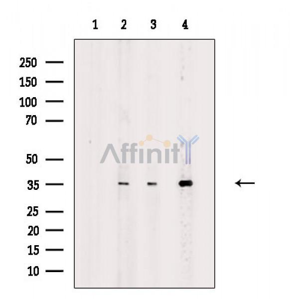 Валидация Affinity DF8057 - 19885