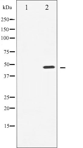 Валидация Affinity AF6235 - 3473