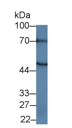 8764