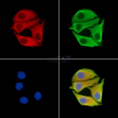 Валидация Affinity DF15224 - 11495