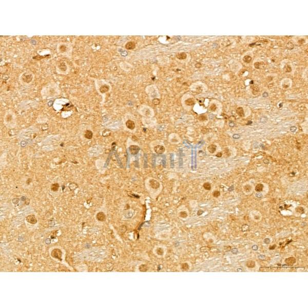 Валидация Affinity DF13139 - 8080