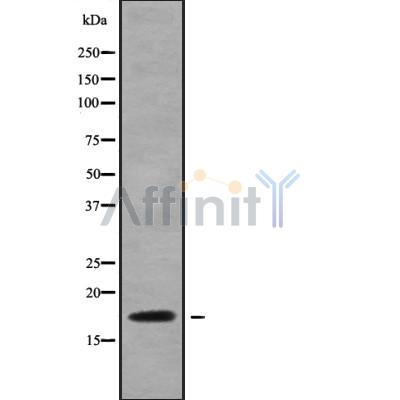 Валидация Affinity DF9661 - 22412