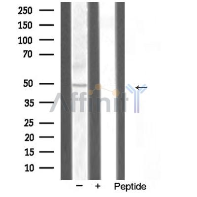 Валидация Affinity AF5396 - 3038