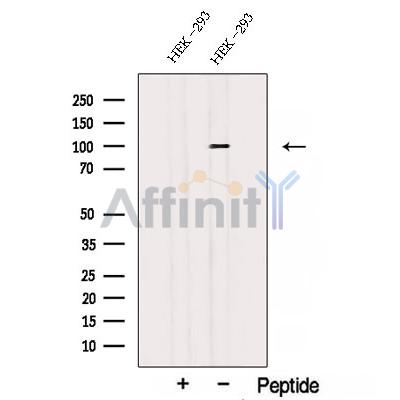 Валидация Affinity DF12757 - 7440