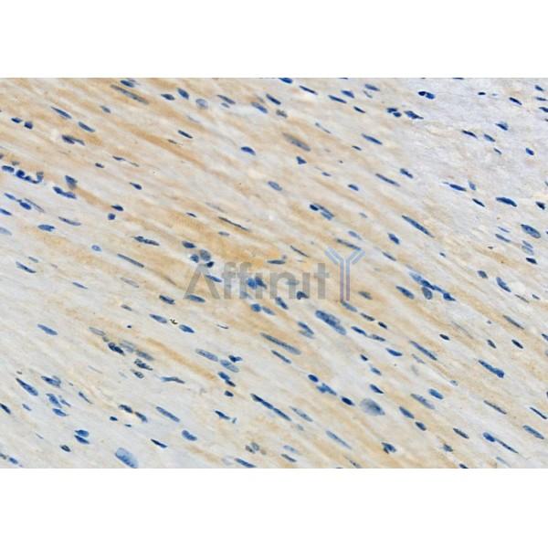 Валидация Affinity DF4613 - 16238