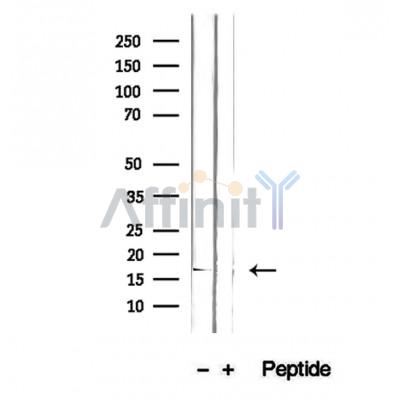 Валидация Affinity DF12405 - 6895