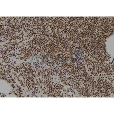 Валидация Affinity DF10061 - 5533