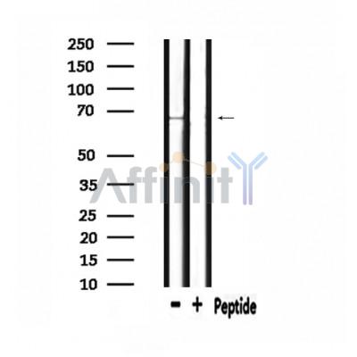 Валидация Affinity DF2286 - 12841