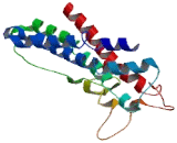 Olfactory Receptor 5I1 (OR5I1) Olfactory Receptor 5I1 (OR5I1)