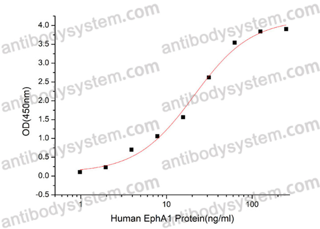Валидация активности AntibodySystem AHD42701