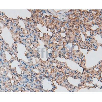 Валидация Affinity DF6710 - 18227