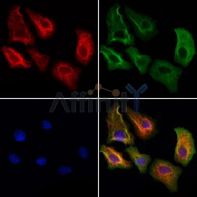 Валидация Affinity DF12084 - 6178