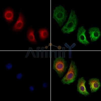 Валидация Affinity DF13253 - 8325