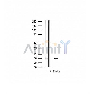 Валидация Affinity AF7020 - 4168