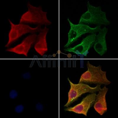 Валидация Affinity DF12900 - 7648