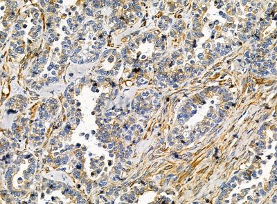 Валидация Affinity DF14304 - 10189