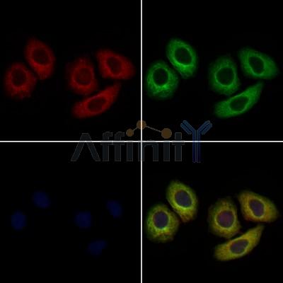 Валидация Affinity DF6733 - 18269