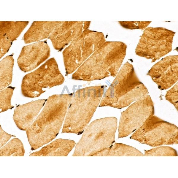 Валидация Affinity DF13052 - 7899