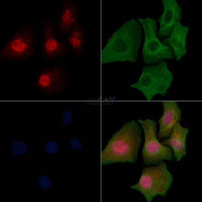 Валидация Affinity DF7557 - 19306