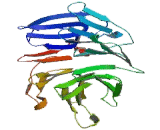 Budding Uninhibited By Benzimidazoles 3 (BUB3)