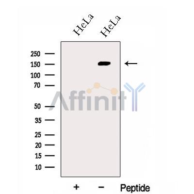 Валидация Affinity DF13049 - 7892