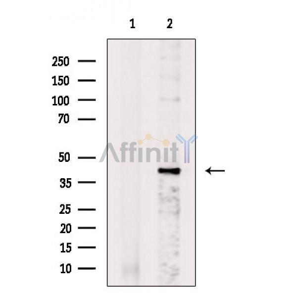 Валидация Affinity DF2661 - 13356
