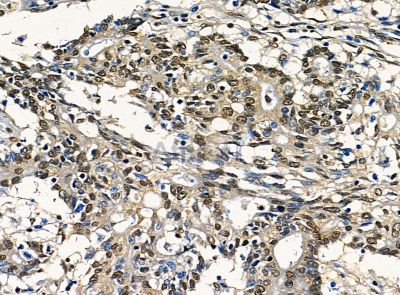 Валидация Affinity DF14461 - 10437