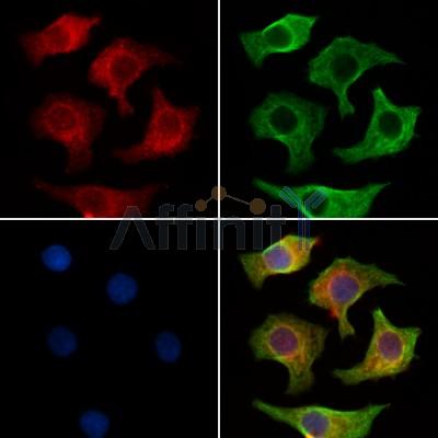 Валидация Affinity AF6335 - 3611