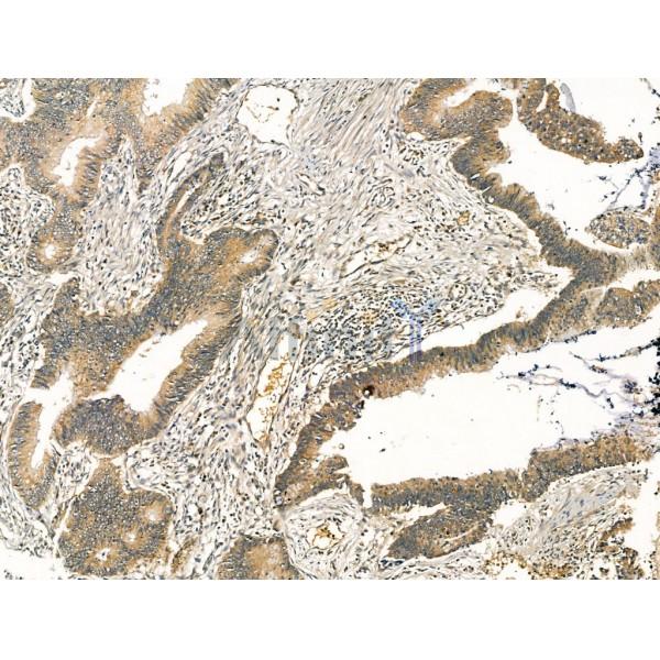 Валидация Affinity DF13222 - 8249