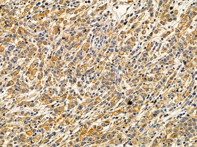 Валидация Affinity DF14552 - 10544