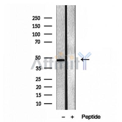 Валидация Affinity DF12071 - 6142