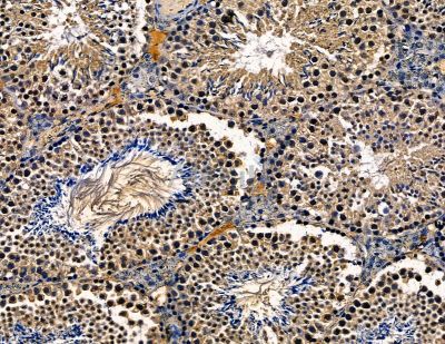 Валидация Affinity DF13781 - 9452