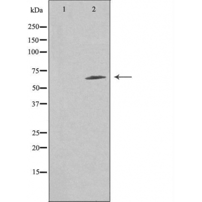 Валидация Affinity DF4886 - 16676