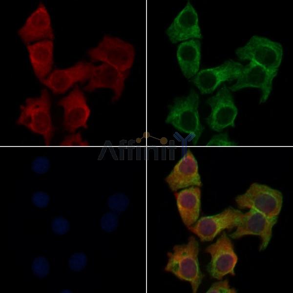 Валидация Affinity DF5056 - 16958