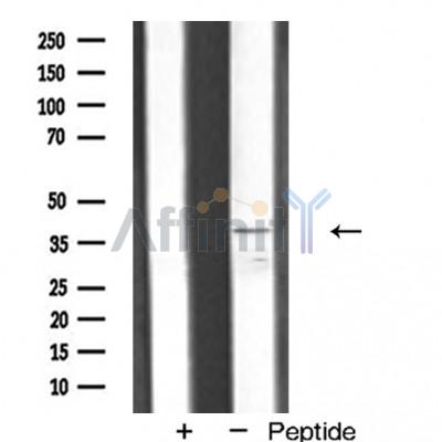 Валидация Affinity AF5192 - 2634