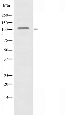 Валидация Affinity DF3215 - 14033