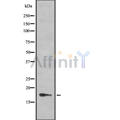 Валидация Affinity DF8555 - 20448