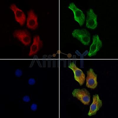 Валидация Affinity DF13236 - 8287