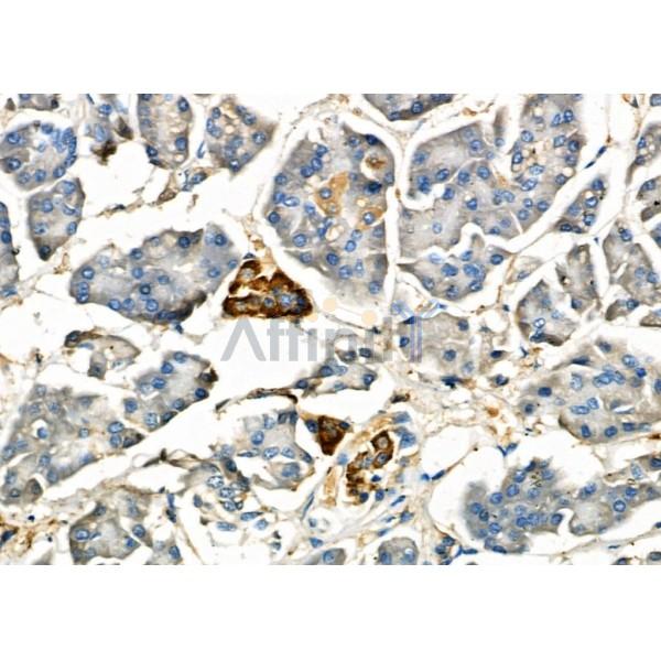 Валидация Affinity DF6466 - 17856