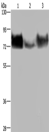 Валидация AssayVector ARM2302(3964)