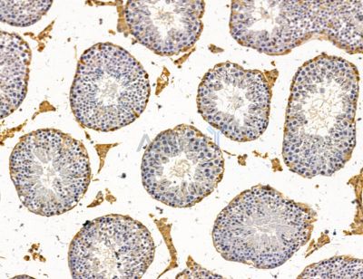 Валидация Affinity DF14804 - 10907