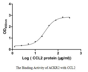 Функциональный ИФА: связывание ACKR2 с CCL2