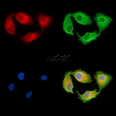 Валидация Affinity DF9851 - 22765